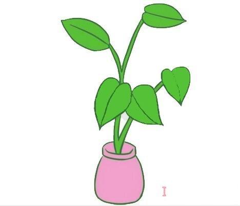 植物简笔画图片带颜色 简单