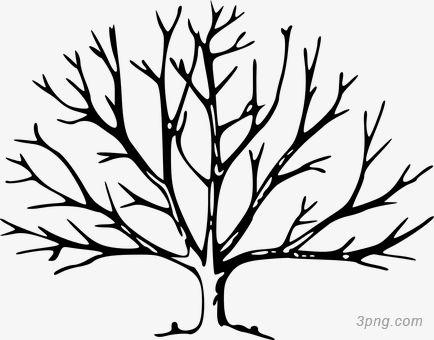树干树枝怎么画简笔画