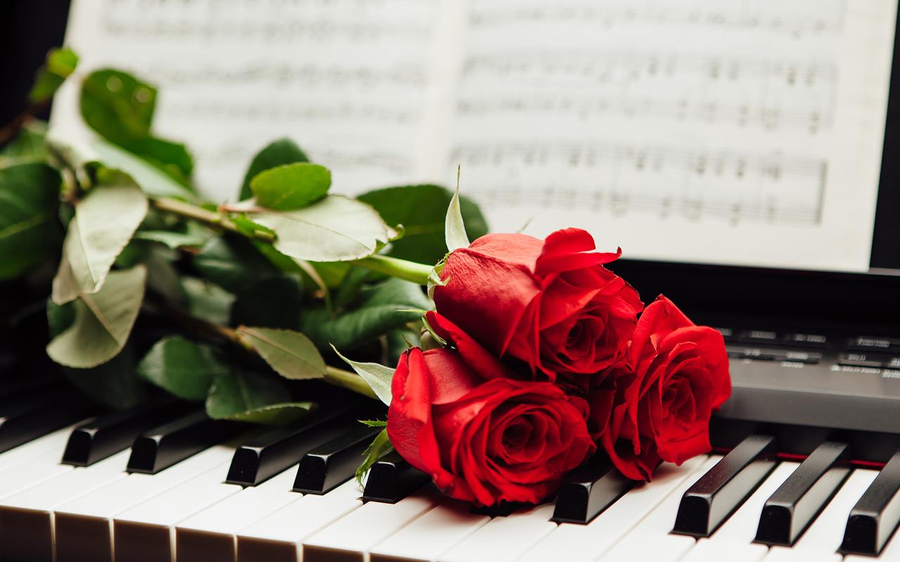 艺术摄影-玫瑰与钢琴高清桌面壁纸