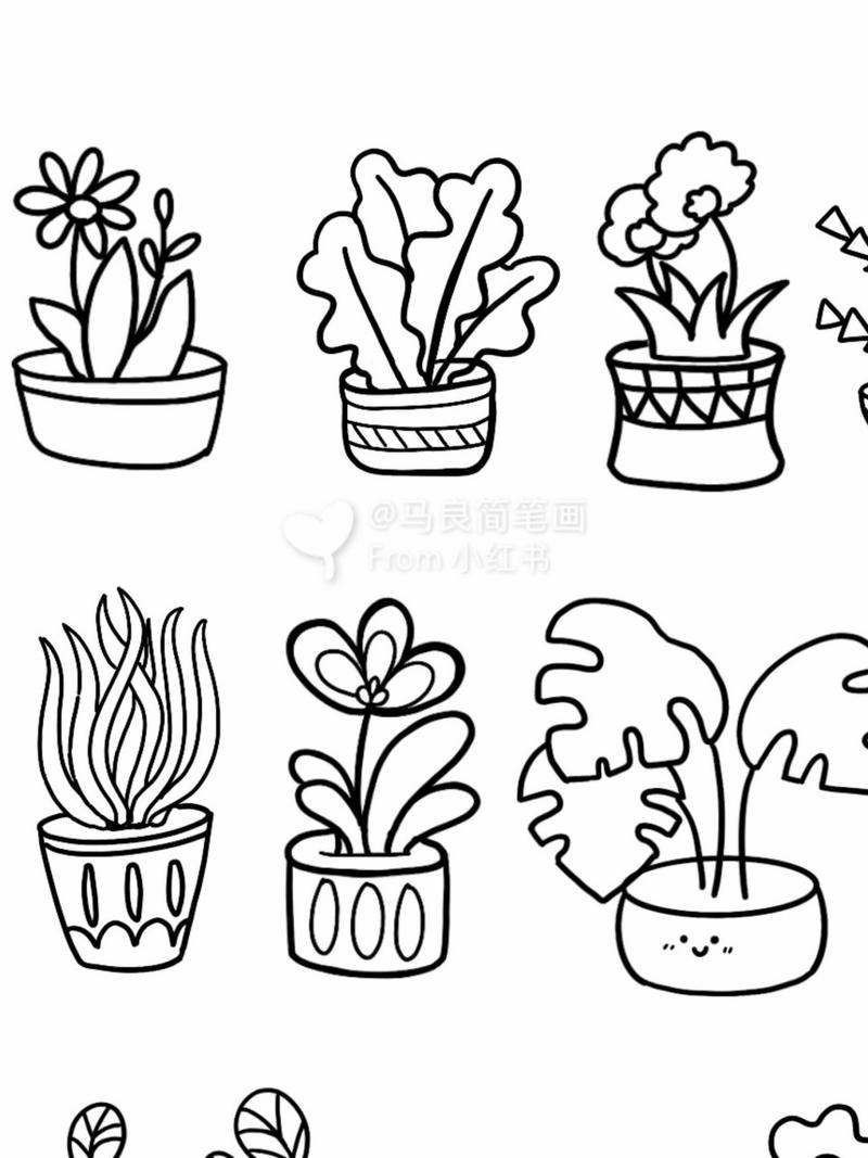 盆栽简笔画|零基础可可爱爱小植物创意美术 坚持每天画