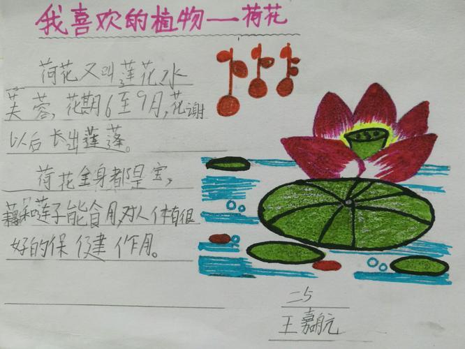 的汉字的手抄报有趣的汉字手抄报五年级有趣的汉字手抄报大全简单漂亮