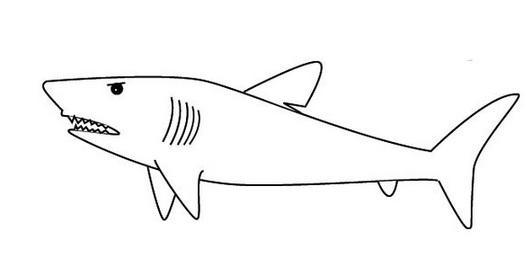 鲨鱼简笔画最简单