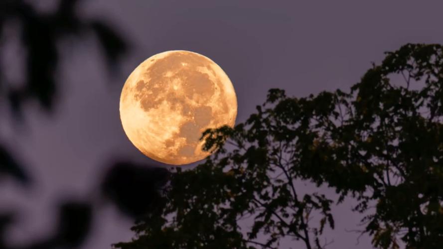 农历八月十六清晨起来去拍摄中秋圆月.