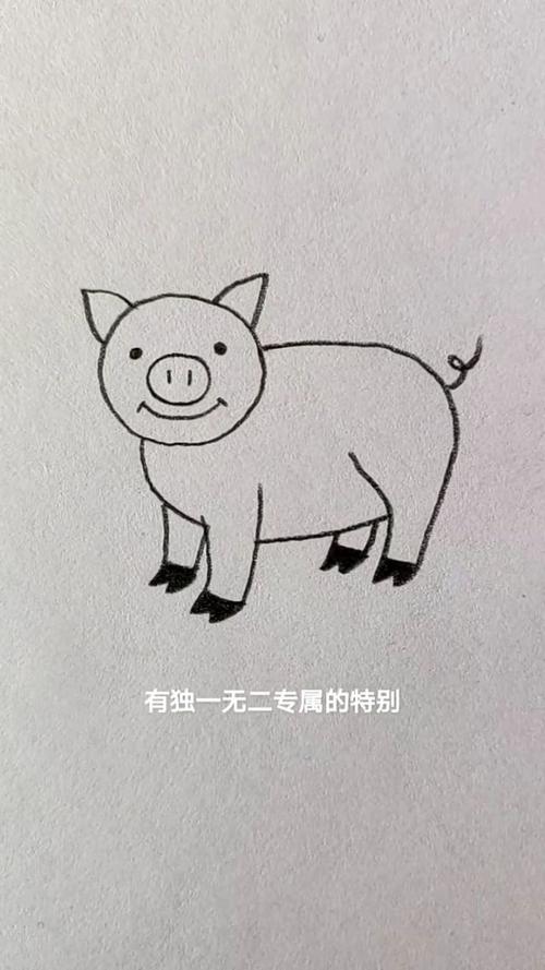 小胖猪简笔画