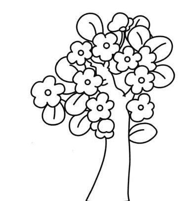 简笔画大全2儿童画植物春天开满花的大树可可简笔画春天树木发芽的