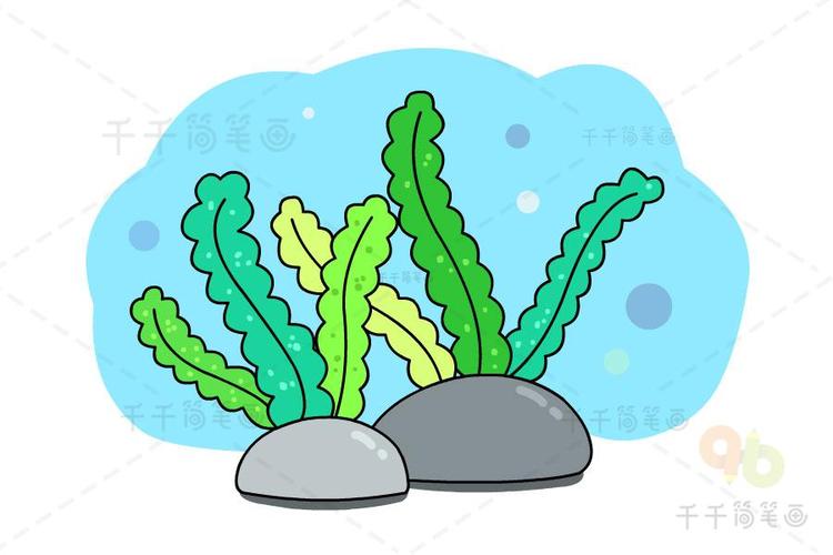 可爱的水下植物简笔画