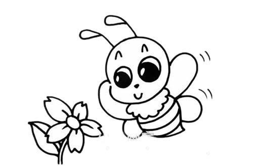 蜜蜂和花的简笔画图片大全