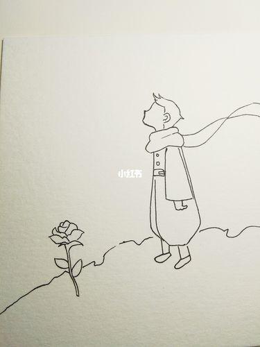 小王子的玫瑰简笔画怎么画