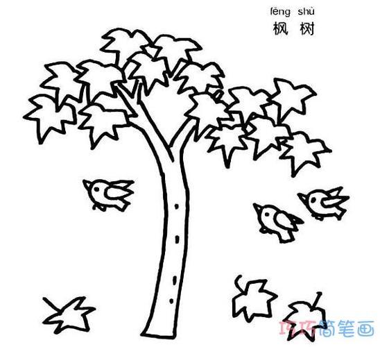 漂亮枫树怎么画枫树的画法简笔画图片