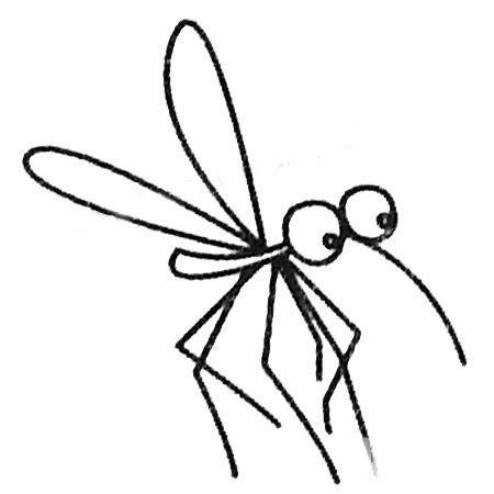 蚊子的简笔画最简单