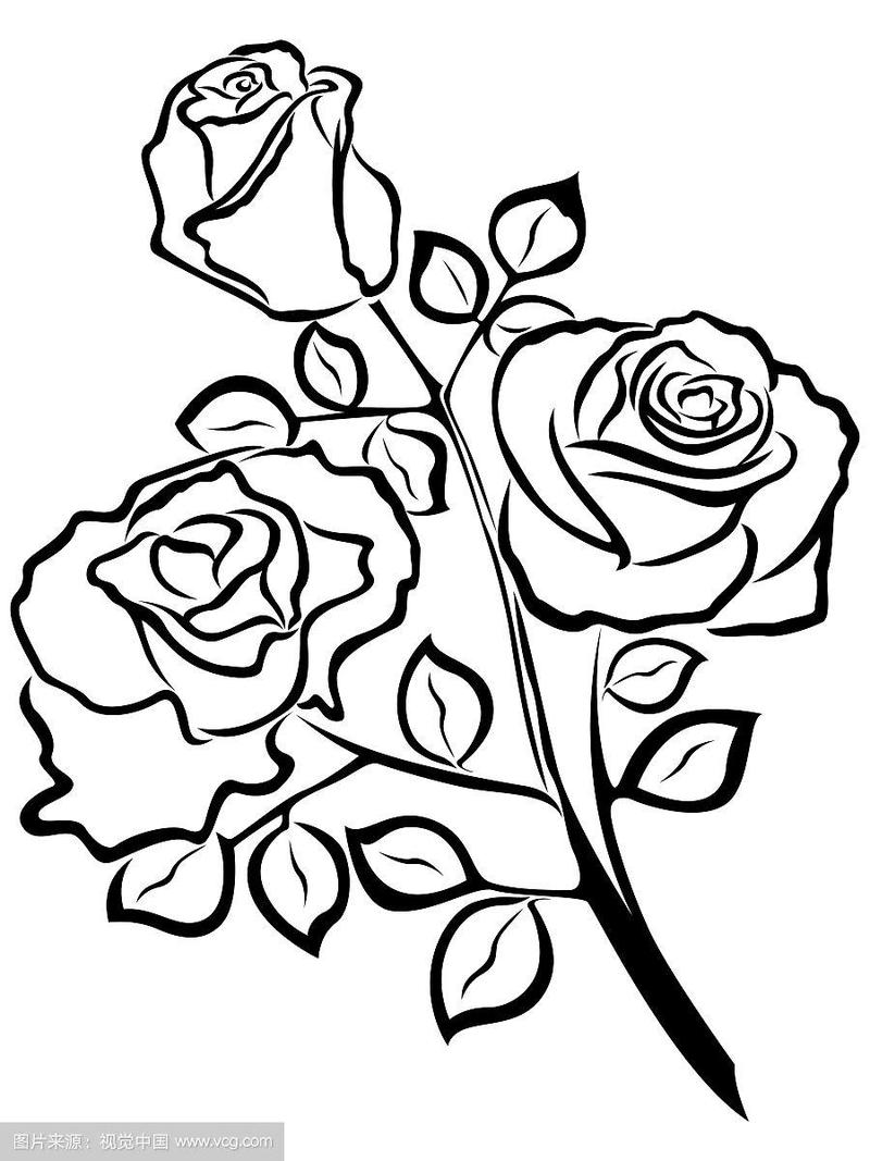 玫瑰花简笔画法图片