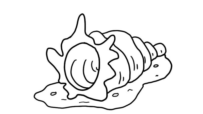海螺的画法简笔画图片