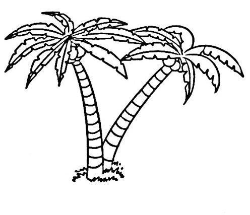 椰子树简笔画 手抄报