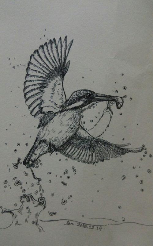 翠鸟吃鱼的简笔画