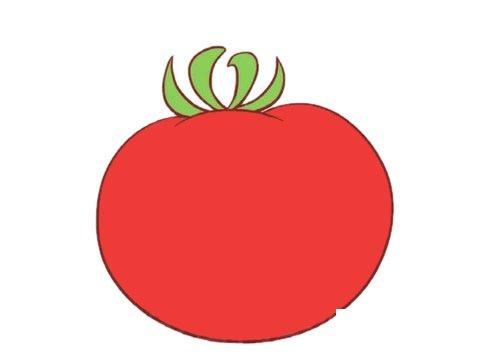 西红柿简笔画图片大全带颜色可爱