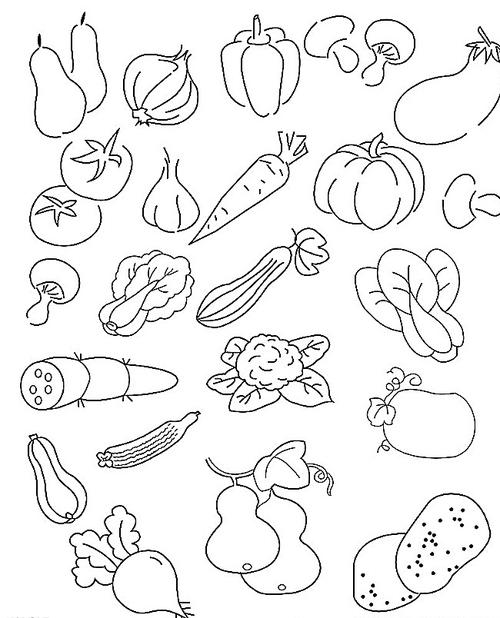 蔬菜的简笔画法图片大全