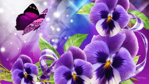 紫三色紫罗兰的完美高清桌面壁纸:宽屏:高清晰度:全屏