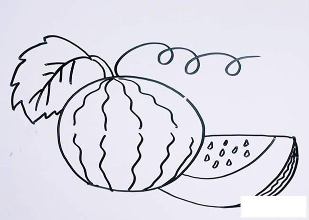西瓜种子生长过程简笔画图片大全