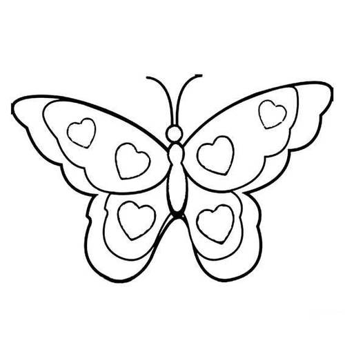简单实用小动物简笔画:蝴蝶的手绘教程,孩子都能画!