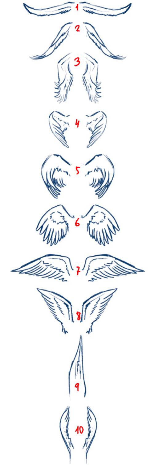 翅膀怎么画简单又漂亮各种漂亮翅膀的画法教程图解