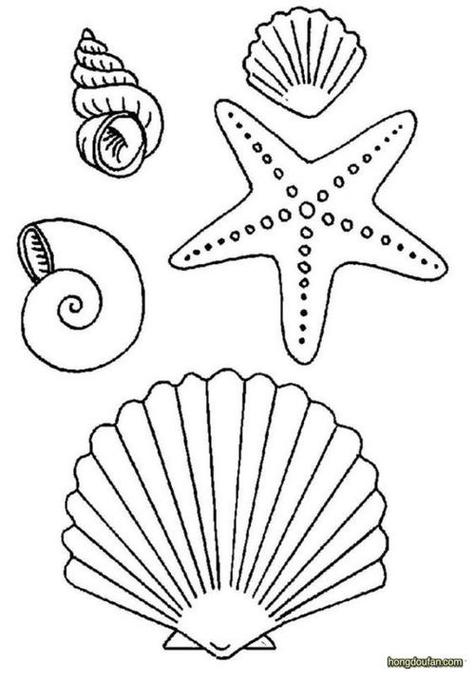 大海沙滩贝壳简笔画图片