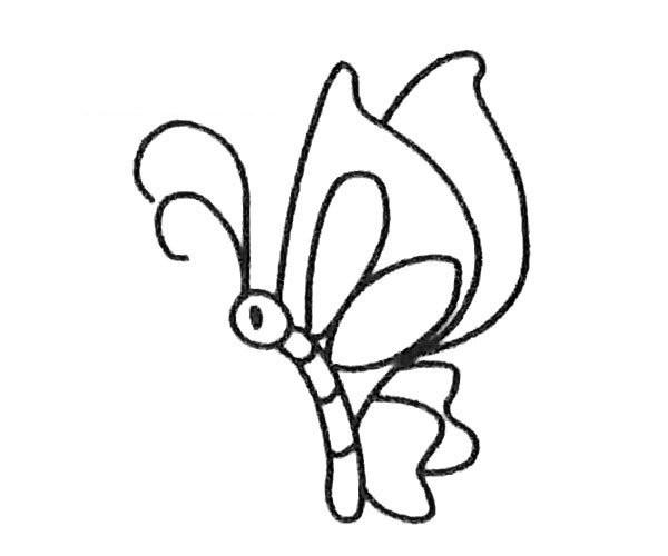 蝴蝶简笔画法图片