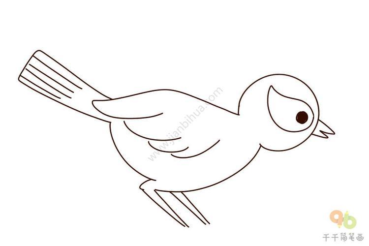 空中飞的鸟怎么画简笔画