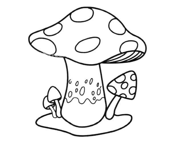 蘑菇简笔画图片大全 画法