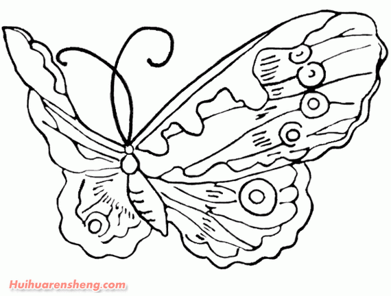 大孔雀蝶的幼虫简笔画