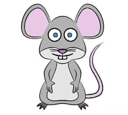 小老鼠简笔画图有颜色