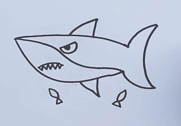 鲨鱼的简笔画凶猛复杂