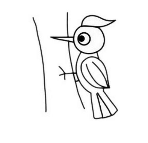 啄木鸟简笔画怎么画才漂亮