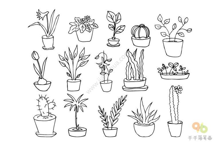 植物简笔画组合图
