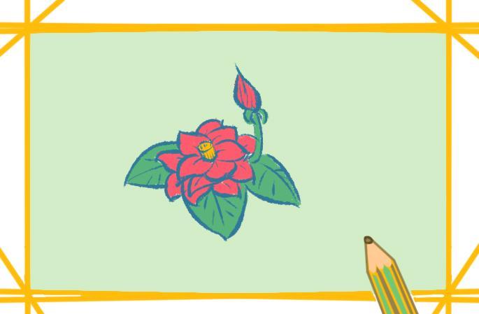 蔷薇花简笔画带颜色