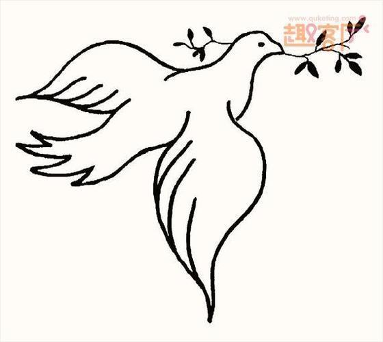 画怎样画和平鸽简笔画简单又漂亮放飞和平鸽简笔画白鸽简笔画飞行鸽子