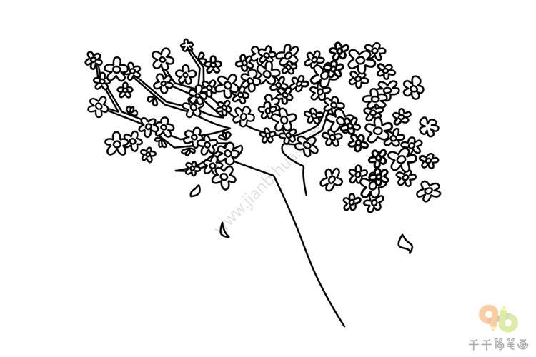 樱花树的画法简笔画步骤