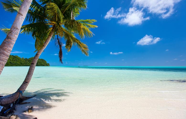 阳光热带夏天沙滩大海海水棕榈树岛屿4k风景壁纸