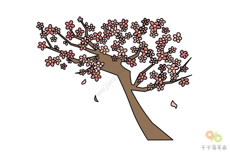 樱花树简笔画简单漂亮图片