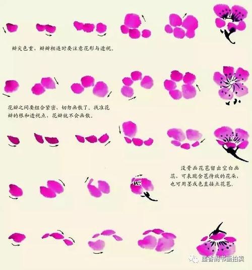 中国画入门教程梅花的画法简单实用
