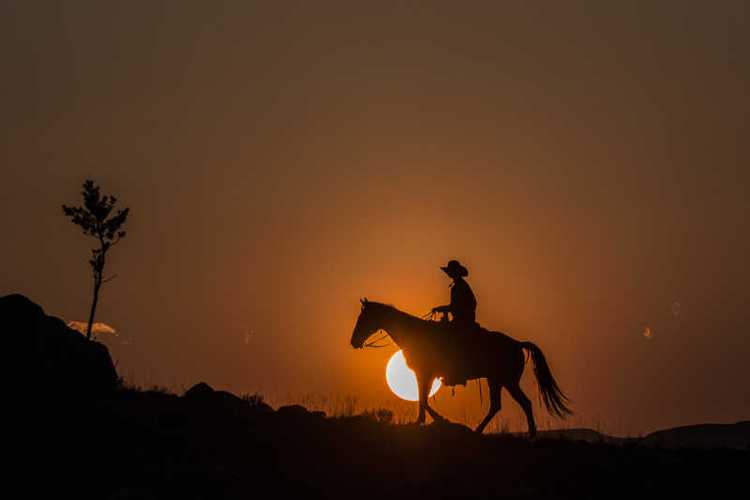 夕阳下骑马头像