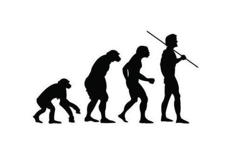 人类进化史图片简笔画