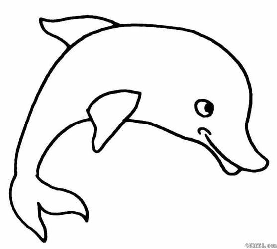 海洋里有什么动物简笔画