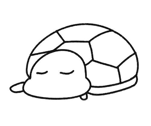 乌龟怎么画简笔画 可爱