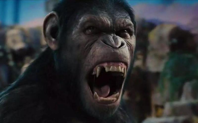 猿人为何把体毛进化没了? - acfun弹幕视频网 - 认真你就输啦 (?ω?