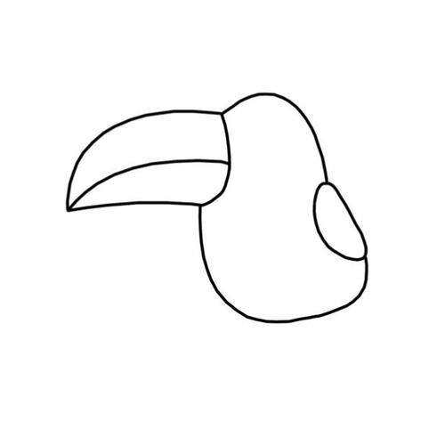 大嘴鸟的简笔画怎么画