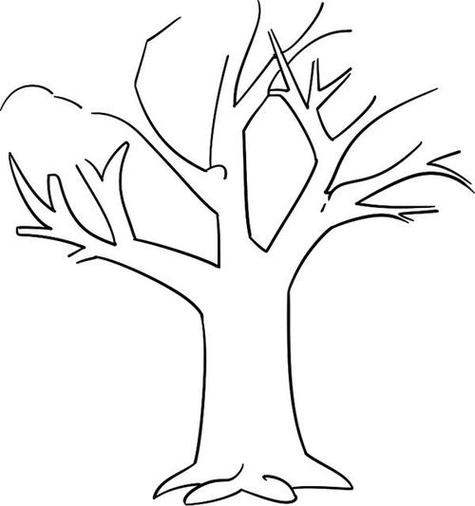 如何画树简笔画