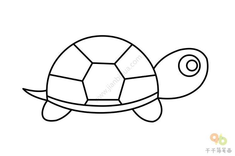 简笔画乌龟的画法步骤图片