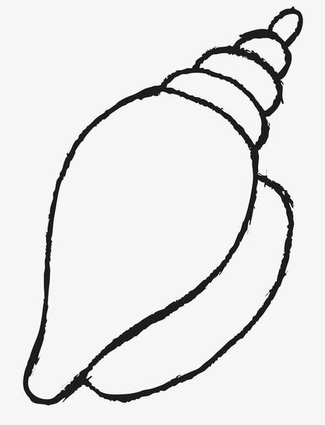 海螺简笔画简单又可爱(各式各样的海螺简笔画) -【爱个性】
