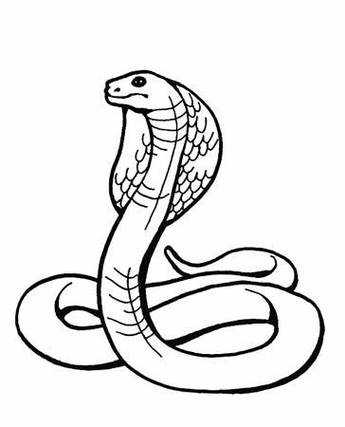 蛇简笔画卡通图片蛇简笔画的画法步骤这是一组蛇简笔画的内容,希望能