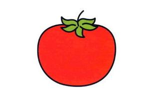 西红柿简笔画图片大全带颜色